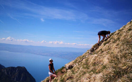 Randonnées accompagnées