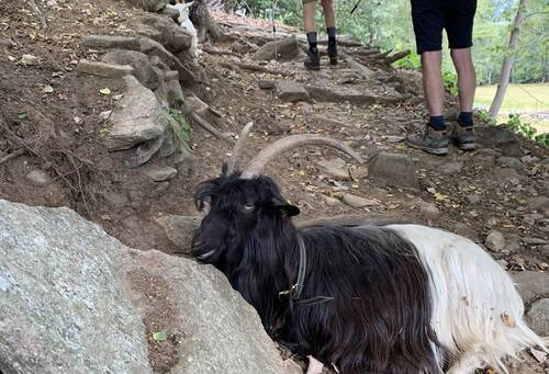 Val Maggia Val Verzasca