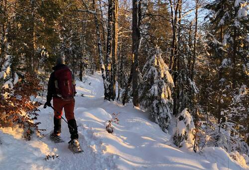 Randonnée raquette au Risoux