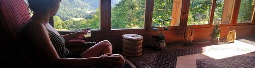 Description de l'image