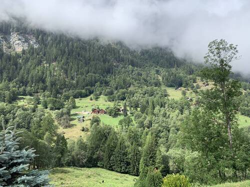 perdu dans la forêt