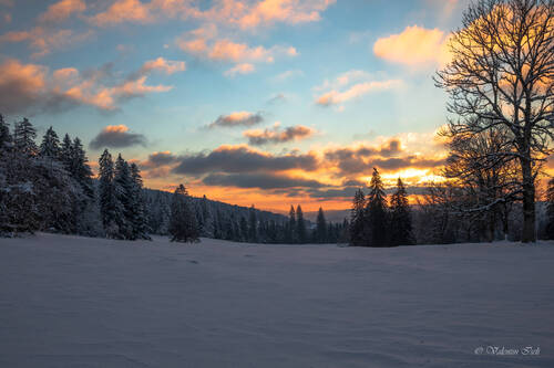 Image nature Franches-Montagnes