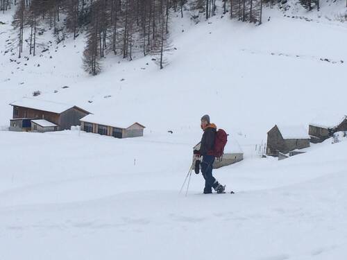 Laurie randonnée raquettes