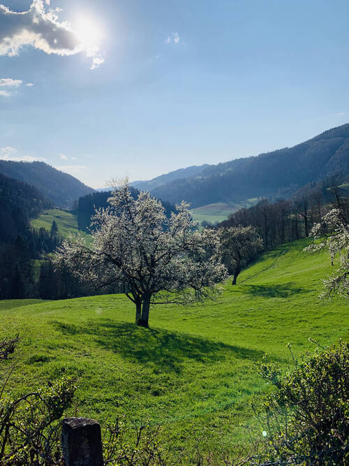 ClosduDoubs-randonnée-Doubs