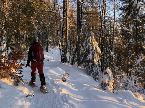 Laurie randonnée raquette Risoux