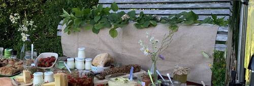 brunch nature jura suisse